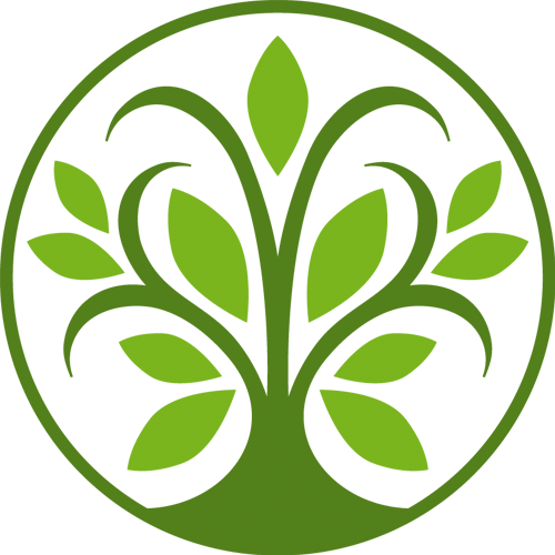 Promos Vert Reve Boutique